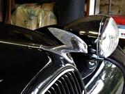 DSCN0434.jpg
