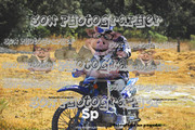 IMG-2600