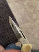 B7980179-EA1D-4332-B9C9-6B46E81118B6