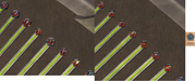 WG-XBow-Craft