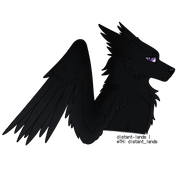 export202409082105439039