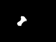 101