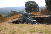 IMG-1009