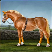 6. Driving Working set