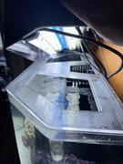 1D05313F-3E0F-4B9D-99C0-3DE2B8516F08