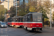 IMG-0800