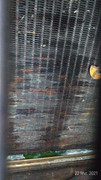 P-20210222-185923-p.jpg