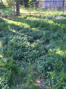 2E69252D-EE3F-46C2-BF57-B718831F1C90