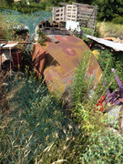 IMG-0673.jpg