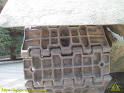 IMG-5569
