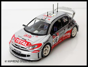 2001 01 Peugeot #16 Panizzi Sanremo