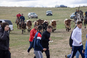 IMG-0090