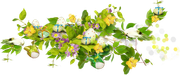 0-1c1a41-ee4d972c-orig