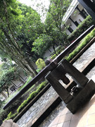 IMG-8242