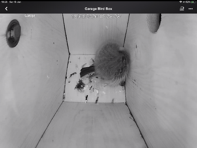 6E623EA2-230E-41FA-80A8-AB4D50AA4343