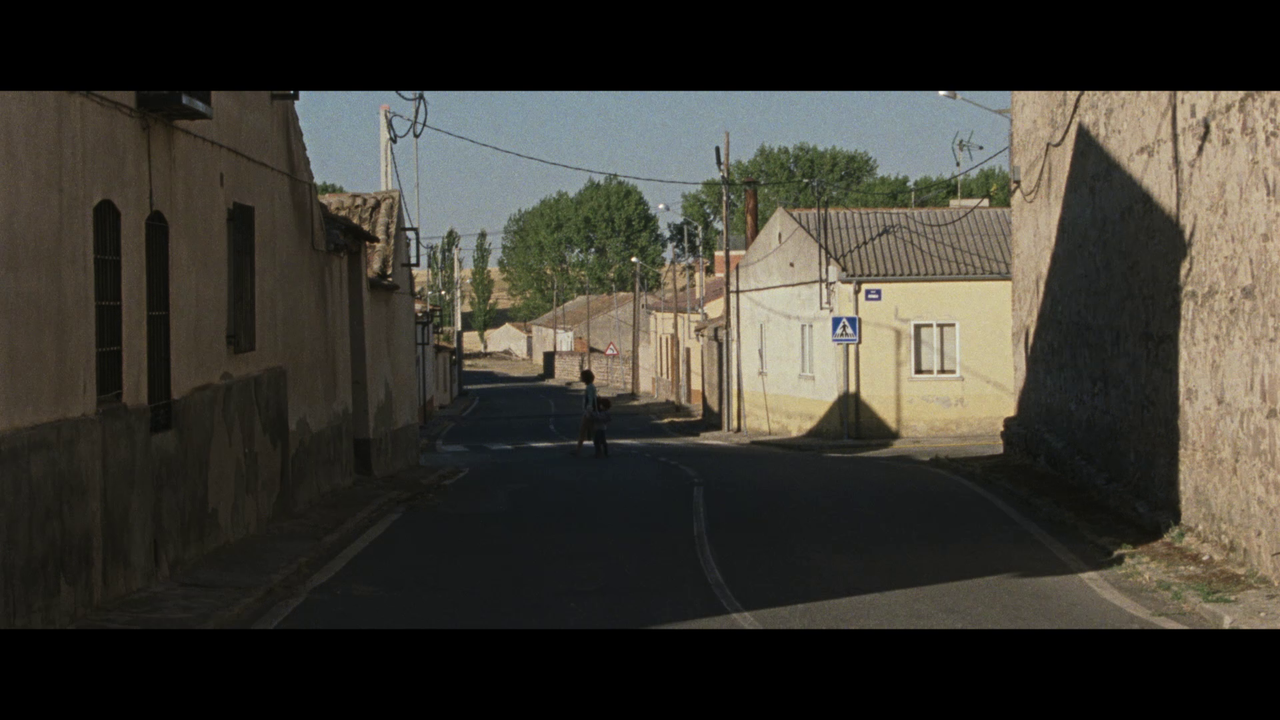 vlcsnap-2024-10-19-12h02m11s731