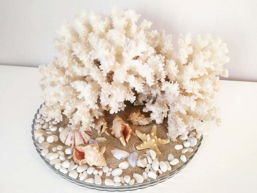 IMG_20230405_181206_152