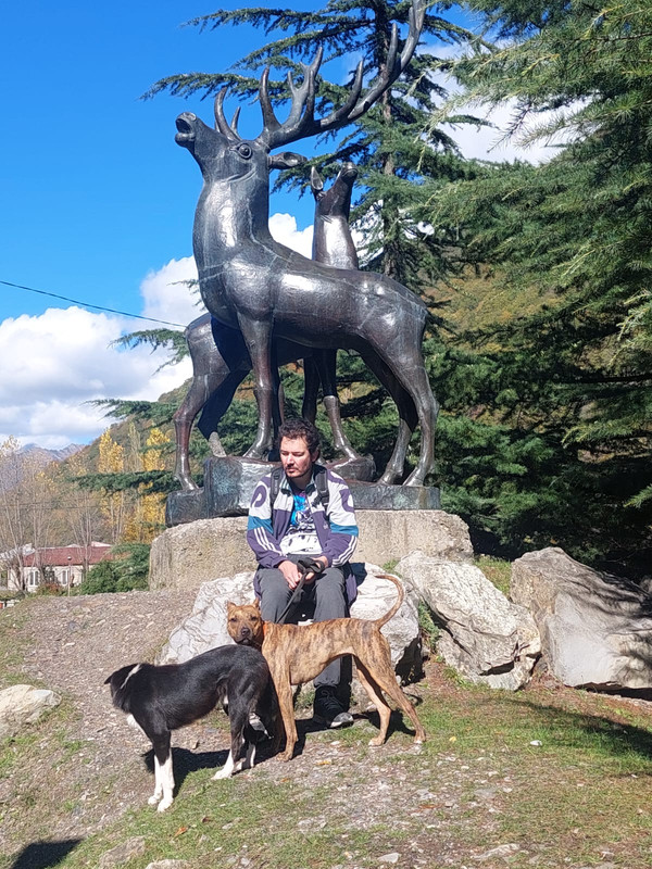 31289DDD-9647-416F-9E11-F196026B2C48