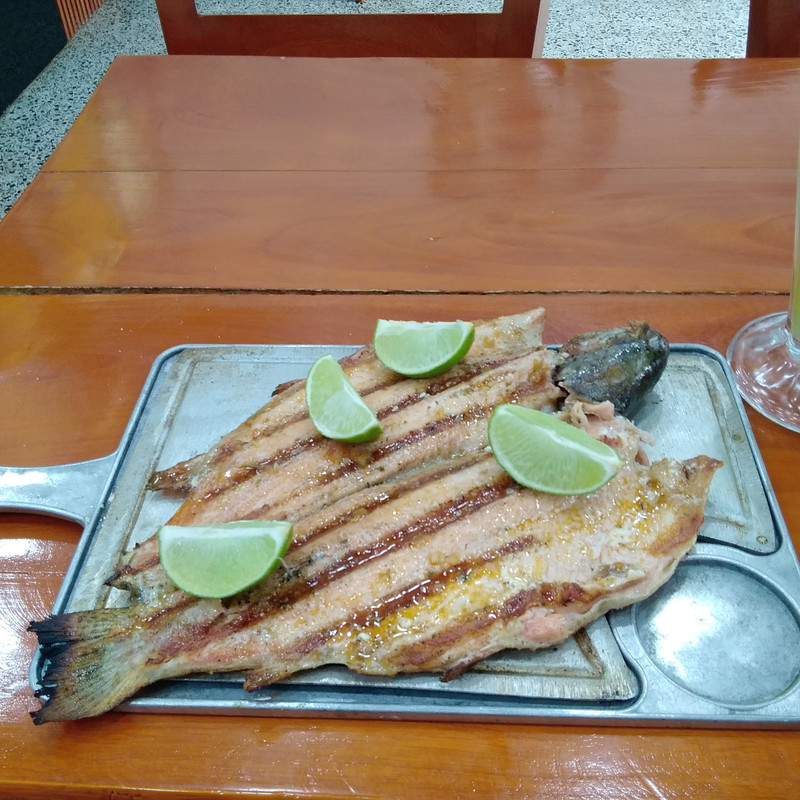 Зимовка 2026, полтора месяца в Колумбии.