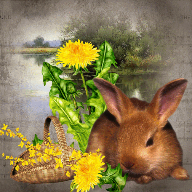 An den Beitrag angehängtes Bild: https://i.postimg.cc/Z0kYdz3x/oie-2481222HL2TQBQJ.gif