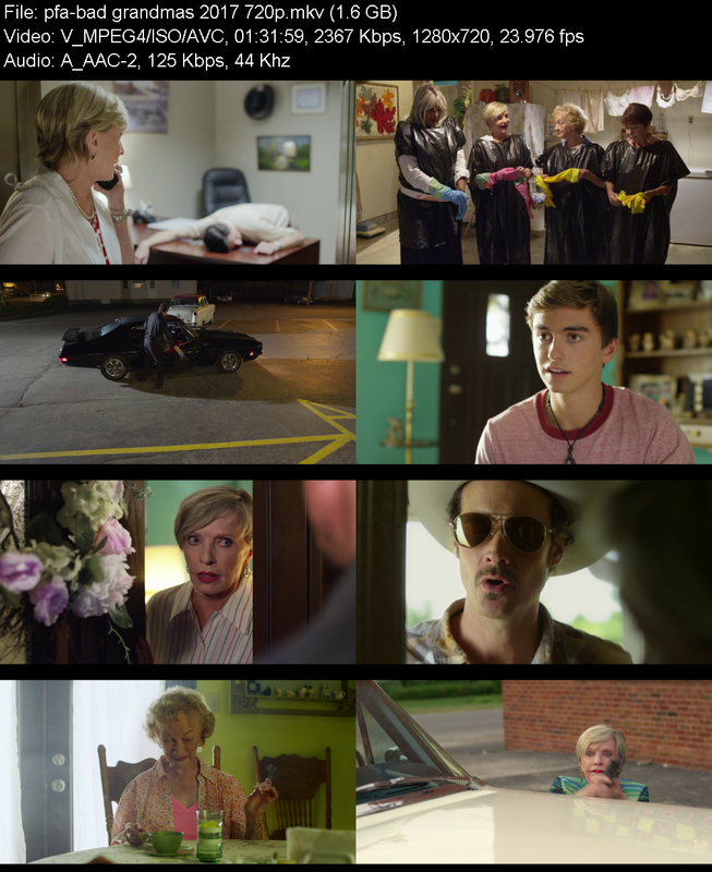 bad-grandmas-2017-720p-web-h264-pfa.png