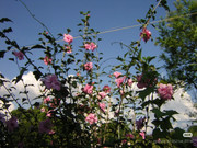 photo 17 2025 12 24 16 22 41