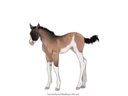 F34807F1-DC2A-44F7-89F6-FB125C32EFA3