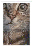 2882112-crosti-ru-color-23