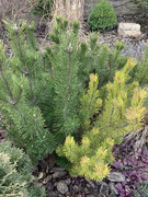 CB522E75-3F48-4B6B-A4FF-37E79D5A72D0