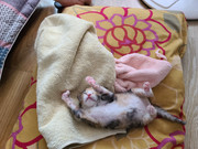 KakaoTalk_20230806_174426711_10