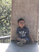 Talin-Reddy