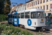IMG-7419
