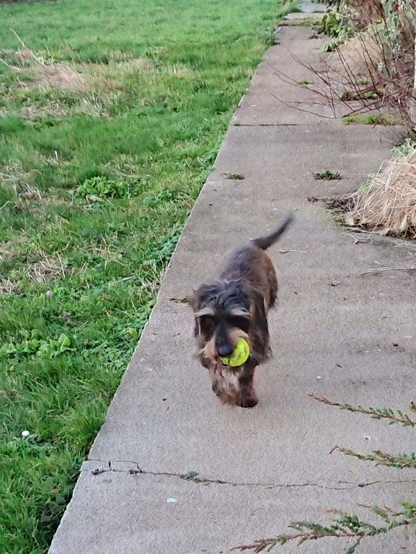 [Image: DSC-2407.jpg]