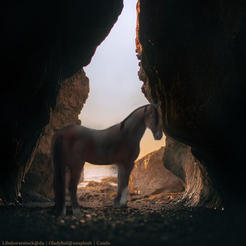 40481A6D-BB47-4CB6-93FF-EDFE05401412