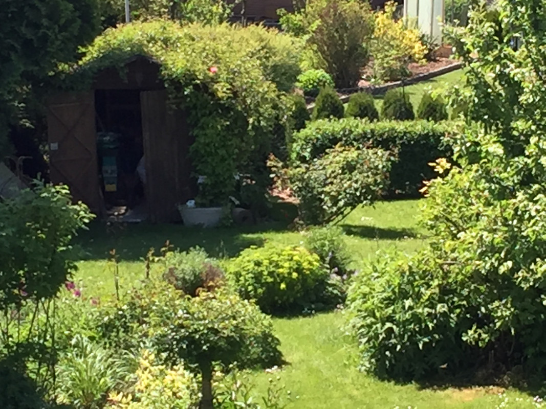 169839B3-F041-49D3-8230-61DFCE1132EC