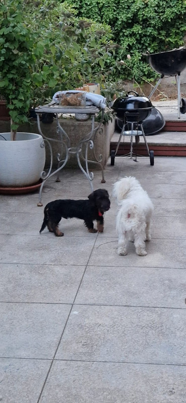 [Image: IMG-20250712-WA0008.jpg]