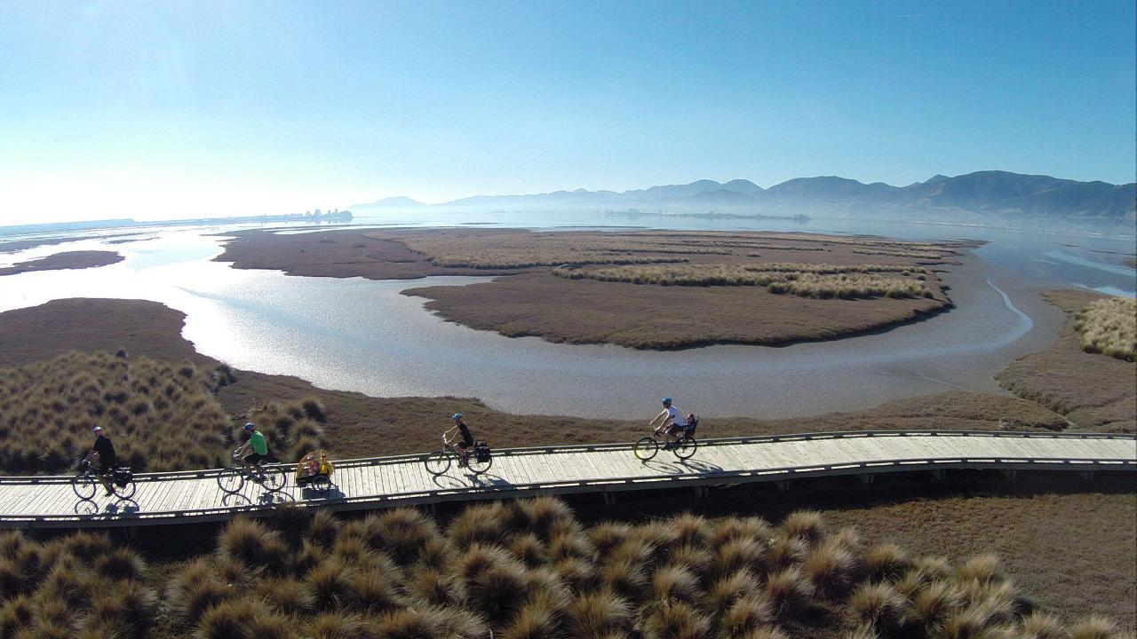 Nelson to Mapua Adventure on the Great Taste Trail by eBike | Shaara Deals 
