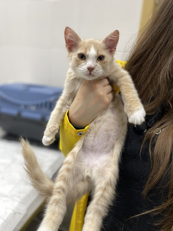 631D9E57-534A-4A92-9623-661D087DE9C5