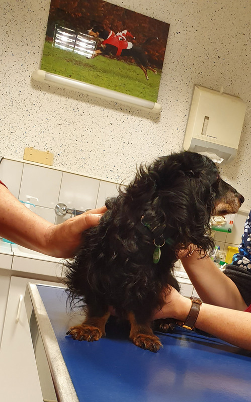 [Image: 20230107-070911.jpg]