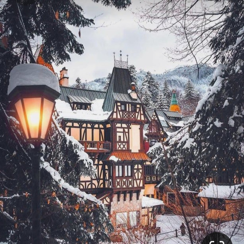 Screenshot_20231009_210808_Pinterest