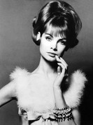 jean-shrimpton-me04