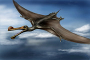 https://i.postimg.cc/Z0yQt67S/Ancient-animals-Dinosaurs-Ornithocheirus-Flight-534340-3000x2000.jpg