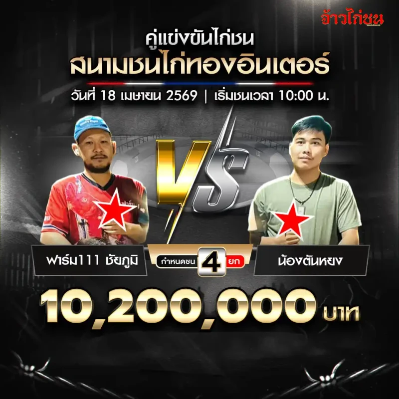 ฟาร์ม111 ชัยภูมิ พบ น้องตันหยง สนามชนไก่ทองอินเตอร์