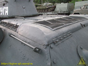 IMG-5596