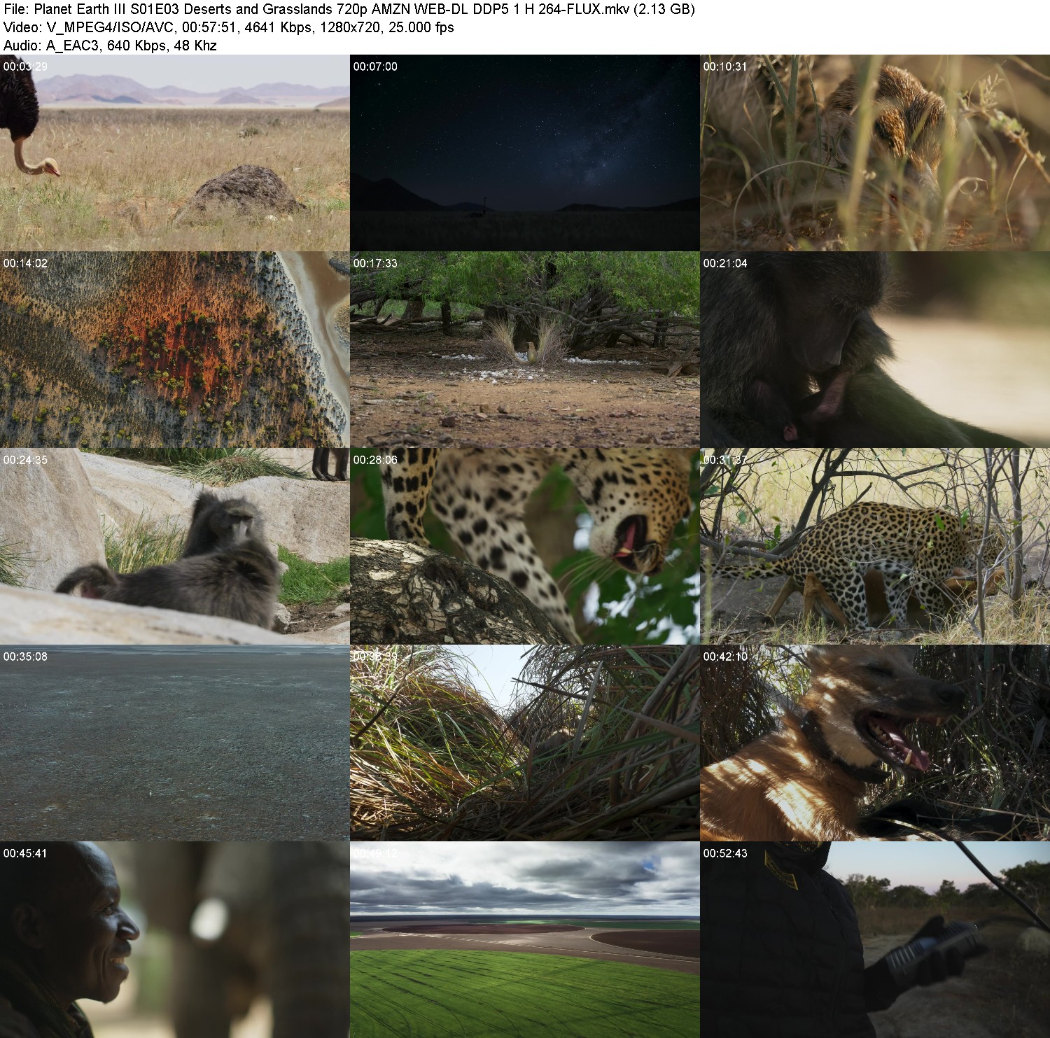 [Image: tcirlt4b634b.jpg]