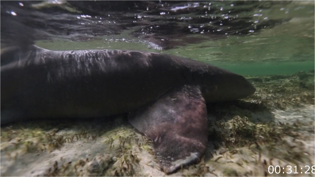 [Image: bci39z9hck0r.png]