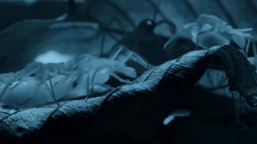 [Image: 2wor98fm8tva.jpg]