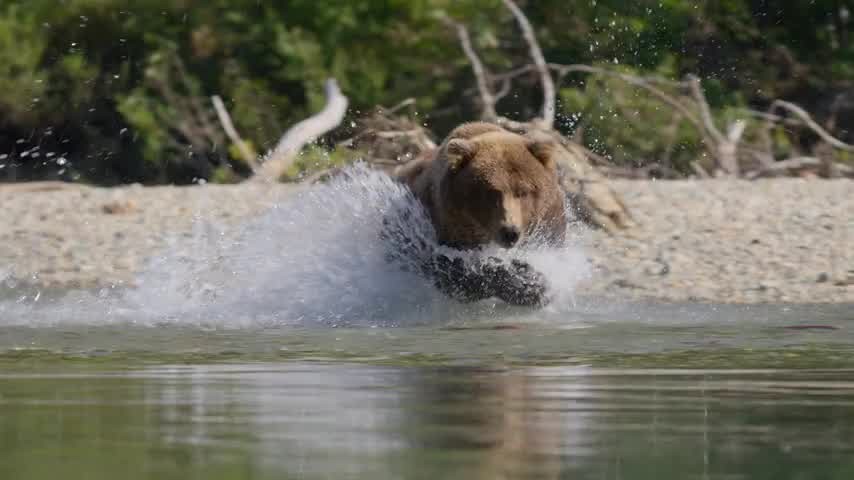 [Image: cunh6l6kcb93.jpg]