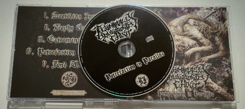 00-terminally-your-aborted-ghost-putrefa
