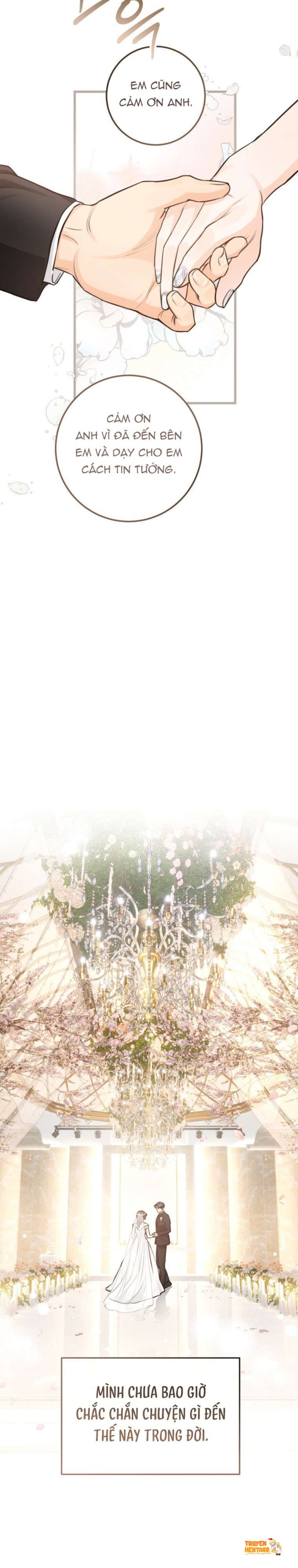 Xem ảnh [15+] Lý Do Kết Hôn - Chapter 47 - tmp6pifou36 - Truyenhentaiz.net